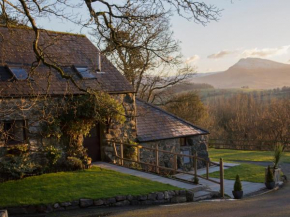 Cyffdy Cottage - Tegid, Bala